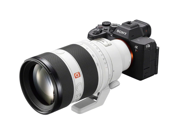 Sony FE 50-150mm f/2.0 GM – Bild 3